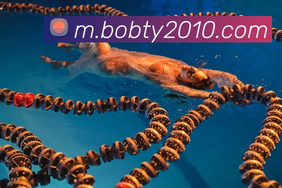 bob体育服务体系